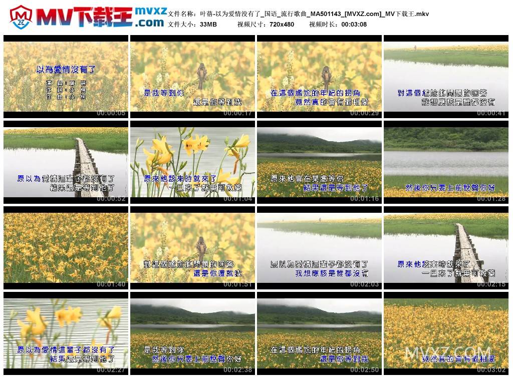 叶蓓-以为爱情没有了_国语_流行歌曲_MA501143